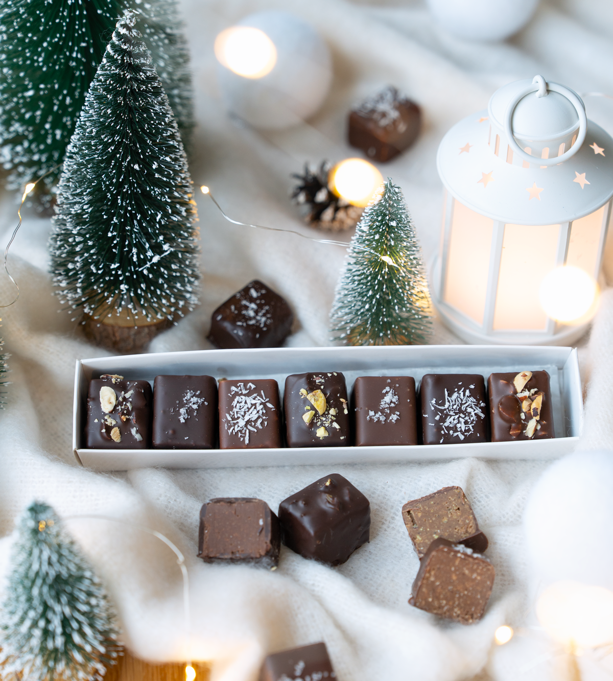 praline vegane craciun.